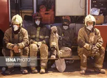 تصاویری از تلاش آتشنشان ها در هفتمین شب حادثه پلاسکو