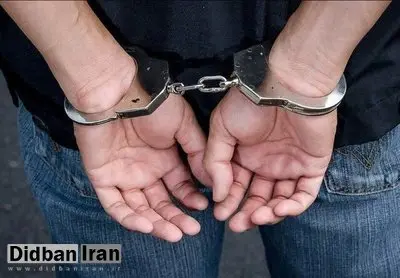 دستگیری قاتل بانوی زرندیه‌ای در تهران