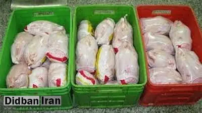 حجتی: التهاب بازار مرغ ناشی از سیاهبازی است