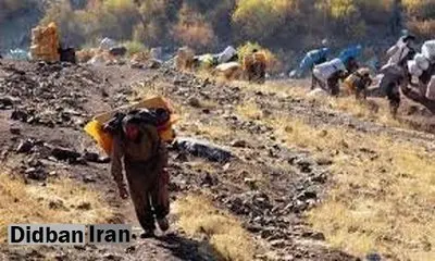 هلاله امینی نماینده مردم کردستان در شورای عالی استان‌ها : زنان مجبورند با ظاهری مردانه، کولبری کنند