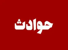 باغبان قاتل پای میز محاکمه/ او به جوانی که با دوستانش چند هلو از درخت چیده بودند شلیک کرد