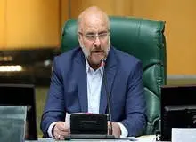 عدم مشارکت رییس مجلس در طرح شفافیت آرای نمایندگان
