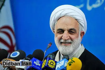 سخنگوی قوه قضاییه: اطلاعات کامل اعتراضات اخیر را به شورای عالی امنیت ملی داده‌ایم
