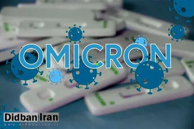 دومین ویروس ترکیبی کرونا با قابلیت انتقال بیشتر ظهور کرد
