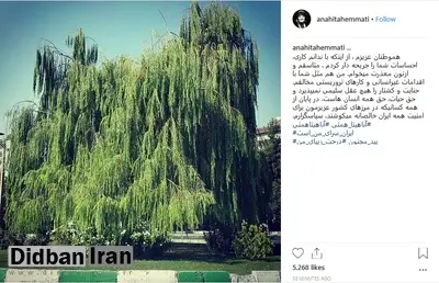 پُست جنجالی اینستاگرامی، آناهیتا همتی را وادار به عذرخواهی کرد+ عکس
