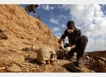 کشف گور دسته جمعی 1500 نفره در سوریه

