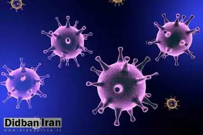 رئیس دانشگاه علوم پزشکی قم: ویروس جدیدی در قم در گردش نیست