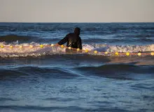 فراهم شدن شرایط بازسازی ذخایر دریای خزر در رودخانه‌های آستارا