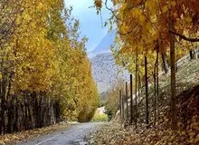 پاییز امسال ۱ ونیم درجه گرمتر است/ ۶۰ تا ۷۰ درصد کاهش بارش خواهیم داشت 