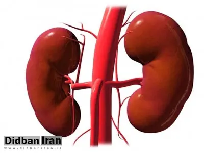 «کلیه‌ها» را گرم نگه دارید/ علت مشکلات کلیوی