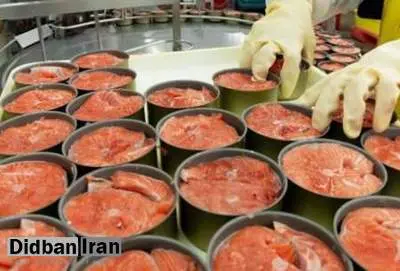 مشتریان خرید کنسروماهی نصف شد