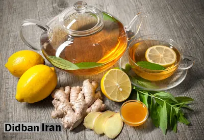 به کمک این نوشیدنی ها لاغر شوید/ از نوشیدنی زنجبیل و لیمو تا چای و انبه+ طرز تهیه