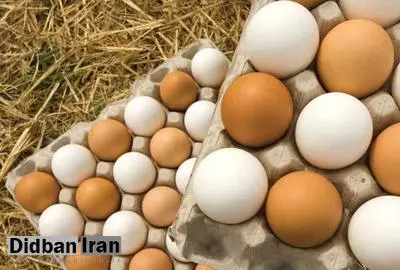 هر شانه تخم مرغ را گرانتر از 12.500 تومان نخرید