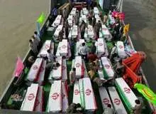 پیکرهای مطهر 135 شهید دفاع مقدس از مرز دریایی اروندرود وارد میهن اسلامی شد
