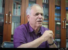 لطف الله میثمی: شورای نگهبان مرا از رأی دادن محروم کرده است

