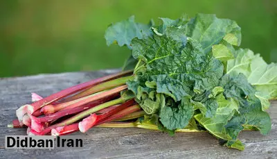 ۴ خاصیت ریواس برای سلامت بدن