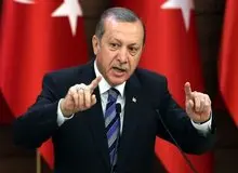 اردوغان: دولت هلند از باقیمانده های نازی ها و فاشیست ها است