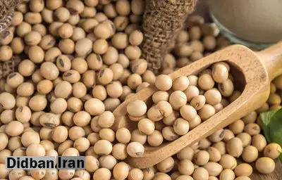 سویا سرطان زاست؟