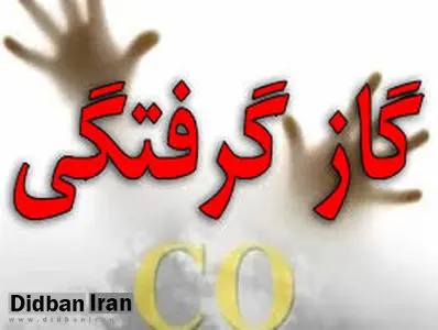 مسمومیت 635 نفر به دلیل گازگرفتگی در چادر‌های مسافرتی/ فوت 19 نفر 