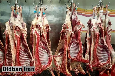 فاصله نجومی قیمت گوشت منجمد و گرم!