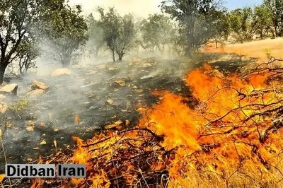 بروز آتش‌سوزی در غرب منطقه حفاظت‌شده سالوک