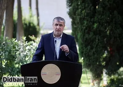 رئیس سازمان انرژی اتمی: فرانسه بیش‌ترین مزاحمت را در مذاکرات داشته است 