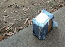 جزئیات کشف مواد منفجره در مسیر پیاده روی دشتستان بوشهر

