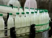 افزایش قیمت محصولات لبنی جرم محرز است
