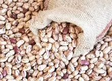 چراغ سبز به گرانی حبوبات / لوبیا چیتی هم قیمت گوشت شد/ افزایش ۶ برابری لوبیا چیتی