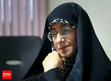 اشرف بروجردی: مردم وقتی حس می کنند رای شان تاثیرگذار نیست پای صندوق رای نمی آیند