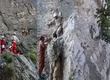  مصدومیت محیط‌‌بان پارک ملی دنا در درگیری با شکارچیان 