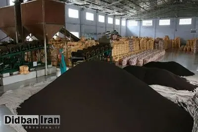 چای وارداتی ایران بین ۶۲ تا ۸۲ درصد گران‌تر از قیمت چای در هند!