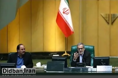 پزشکیان: دولت برای مقابله با هجوم ملخ‌ها برنامه داشته باشد
