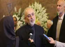 صالحی: خدمات مرحوم نیازمند در حوزه هسته ای قابل تقدیر است