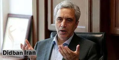 مجمع تشخیص مصلحت نظام نمی تواند مانند شورای نگهبان جلوی مصوبه مجلس را بگیرد/ مجمع تشخیص نباید تبدیل به مجلس یا شورای نگهبان دوم شود/باید دادگاه قانون اساسی تشکیل دهیم
