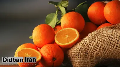خواص بی نظیر نارنج برای کاهش وزن آشنا شوید