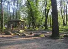 واگذاری غیرقانونی مدیریت ۶ هزار هکتار از جنگل‌های هیرکانی؛ رئیس انجمن علمی جنگلبانی: جنگل هیرکانی نابود می شود/رئیس دانشکده منابع طبیعی علوم و تحقیقات:  سایت رهاسازی زباله در بالادست پارک جنگلی قرار دارد