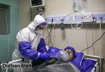 دانشگاه علوم پزشکی البرز: آمار بستری جوانان و نوجوانان مبتلا به کرونا در استان نگران کننده است