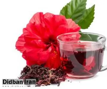 16 فایده و خواص چای ترش قرمز و 5 عوارض آن