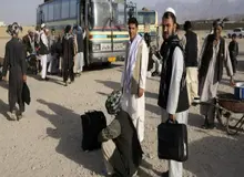 کاهش ۵۵۰۰ تنی تقاضای آرد با خروج اتباع/ مجازات کسانی که به اتباع غیر مجاز کار و اسکان دهند چیست؟
