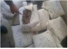 انهدام باند تهیه و توزیع قهوه و نسکافه غیر بهداشتی در فارس 