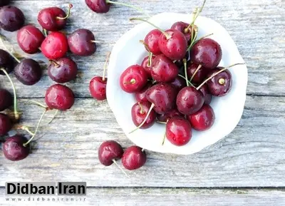 با ۸ خاصیت شگفت انگیز گیلاس آشنا شوید ؛ از کاهش ابتلا به سرطان تا بهبود عملکرد مغز
