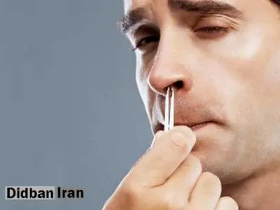 کندن موی بینی موجب مرگ می‌شود!