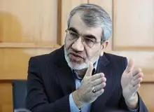 اظهارات کدخدایی درباره کشف تخلف نمایندگان