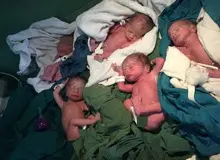 تولد ۵ قلوهای یک کیلوگرمی در شیراز