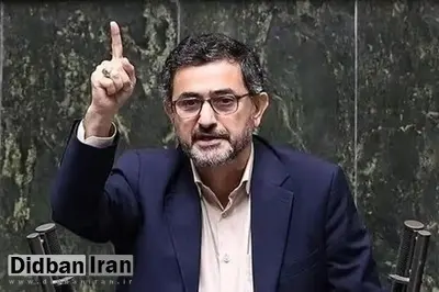 استقبال نماینده مجلس، از لغو کنسرت همایون در میدان آزادی: درود به دکتر زاکانی!