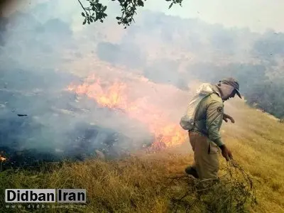 آتشسوزی عمدی در آبیدر سنندج، زنگ خطری برای تعهدات شهرداری؛ نابودی درختان کاج در پی سهلانگاری در حفاظت