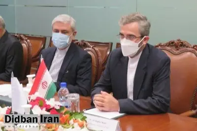 وارونه گذاشتن پرچم ایران روی میز مذاکره معاون سیاسی وزارت خارجه و همتای پاکستانی!+عکس