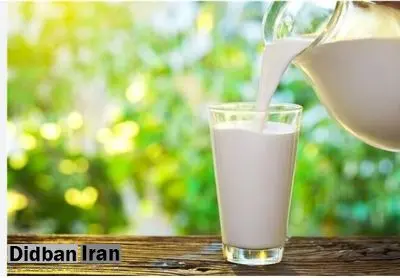 آیا شیر شتر شدت آسم را کاهش میدهد؟