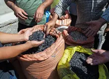 تخمه چقدر گران شد؟ / کف و سقف قیمت هر کیلو تخمه آفتابگردان،‌ کدو و جابونی